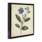 Stupell Industries Vintage Blue Blossoms Wildflower Floating Frame, design by Petal Prints Design